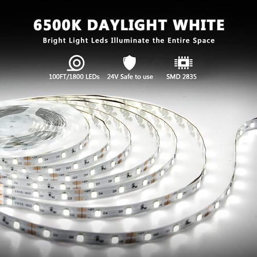 dalattin White LED Strip Lights 100ft, Dimmable Bright 24V Led Light Strip 6500K Daylight White 1800 LEDs Lights for Bedroom, Mirror, Kitchen, Strong Adhesive, 2 roll of 50ft