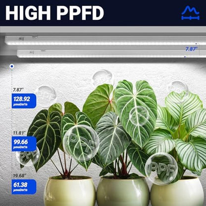 Barrina T5 Grow Lights, 4FT 160W (8 X 20W), 5000K, Full Spectrum, 8 Packs