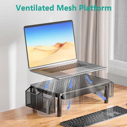 WALI Computer Monitor Stand with Storage and Pen Holder