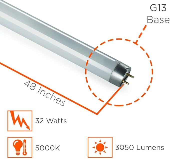 GoodBulb 48 Inch T8 Fluorescent Light Bulb 5000K Daylight White Color Medium Bi-Pin Base 3050 Lumens 86 CRI 24000 Life Hours Pack of 25 Bulbs