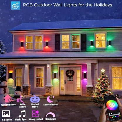 rosykite Smart Outdoor Wall Lights, RGB Color Changing Up Down Sconce 13"