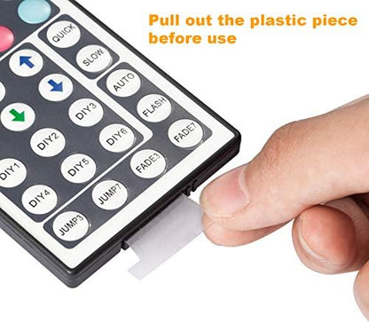 DAYBETTER Led Lights 2 Ports 44 Key Remote Control, Dimmer for Strip, 4 Pin Output Remote Controller for Led Strips 12 24V DC Tape Light (Without Power Adapter)