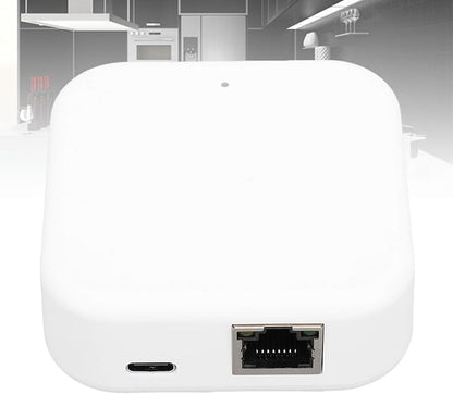 Fafeicy Smart Home, WiFi Bluetooth RJ45 Smart Device Hub with Mobile App Control for Entry Lock and Speaker
