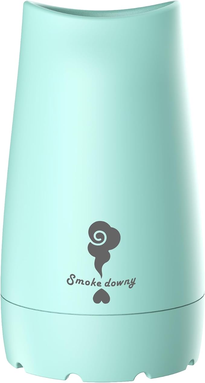 Personal Smoke Filter, Pocket Size Portable with Replaceable Filter, Biodegradable, Reusable Up to 500 Uses (Mint green, A set)