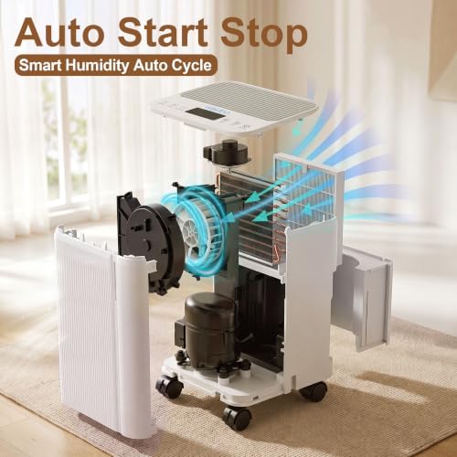 Dehumidifier for Home with Drain Hose, Auto On/Off Cycling for Basement