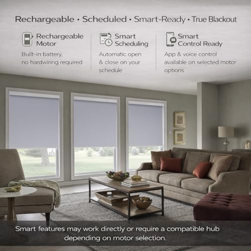 ZSHINE Motorized Blackout Roller Shades Remote Control Rechargeable(82010S)
