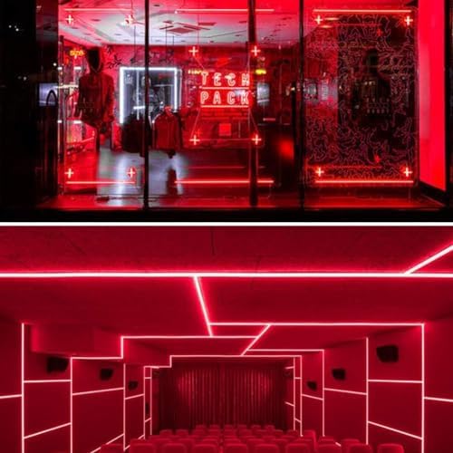 iNextStation 16.4FT 12V LED Strip Lights Red Neon LED Rope Lights (No Plug)