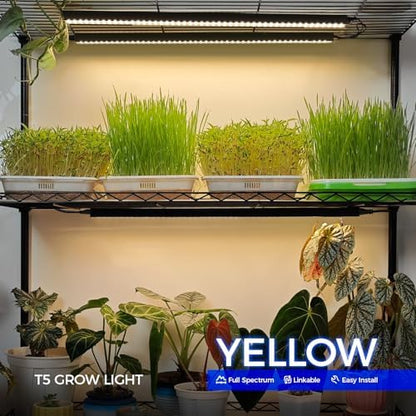 Barrina T5 LED Grow Lights, 2FT Yellow, Black Cover, Linkable, 2 Packs
