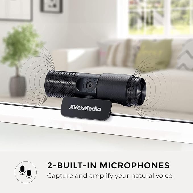 AVerMedia Live Streamer Cam 313 - Full HD 1080P Webcam with Privacy Shutter, Dual Microphone, 360 Degree Swivel for Video Conference - NDAA Compliant (PW313)