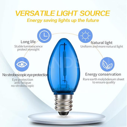 Ruiandsion E12 LED Bulb 110V Blue Screw Base for Display Cabinet Photography Christmas Strings Chandeliers Night Lights Pack of 2