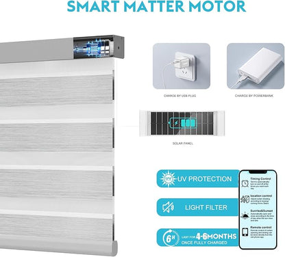 Motorized Zebra Blinds with Remote Smart Blind Work with Homekit Alexa SmartThings Electric Day and Night Shade Cordless Automatic Solar Powered Window Shade Customize(Starry Silver)