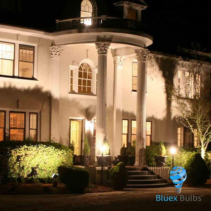 6 Pack BlueX Dusk to Dawn LED Bulbs, 6W E12 Base Light Bulb - 65W Equivalent – 5000K Daylight White - Smart Light Sensor Candelabra Bulb, Home Security Driveway, Yard, Porch Lighting