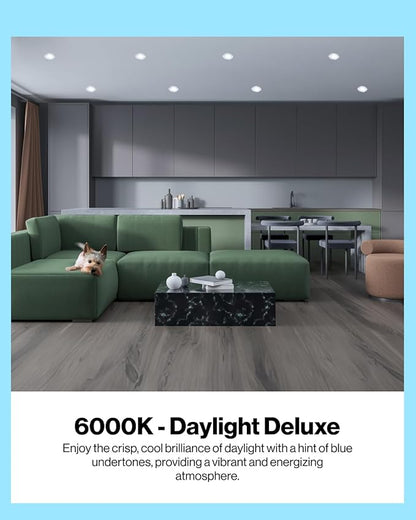 Sunco 10 Pack BR20 LED Bulb Dimmable, Small Recessed Lighting Bulbs, R20 Mini Flood Light Indoor, 550 LM, 7W (50W Equivalent), 6000K Daylight Deluxe, E26 Base, Can Light for Home, Kitchen, Bedroom UL
