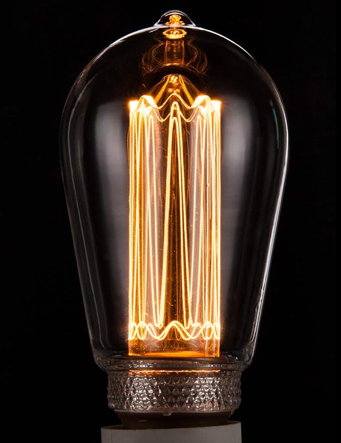 Vintage Edison Light Bulb, Decorative Dimmable LED Bulb, 3.5W Low Lumen Eye-Caring Soft Dim Lighting for Mood(Not Daylight White), Virtual Squirrel Cage Filament, E26 Medium Base, Clear RN ST64