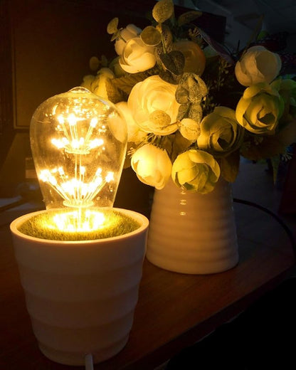 Kiven 3w LED Decorative Vintage Edison Bulbs Antique Style E26 110v Light Bulb Prefer for Indoor Outdoor Pendant Light(Package:1 Pcs)