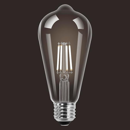 Sylvania ST19 Clear LED White Filament Bulb, 5W, Dimmable, 500 LMS, Medium Base, 5000K, Daylight - 2 Pack (42175)