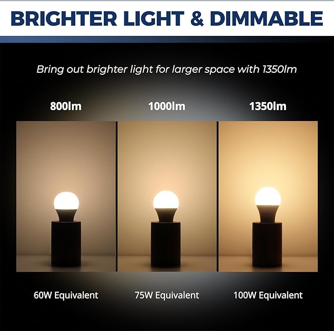 4Pack Smart E12 Bulbs + 4Pack Smart A19 Lights Bundle
