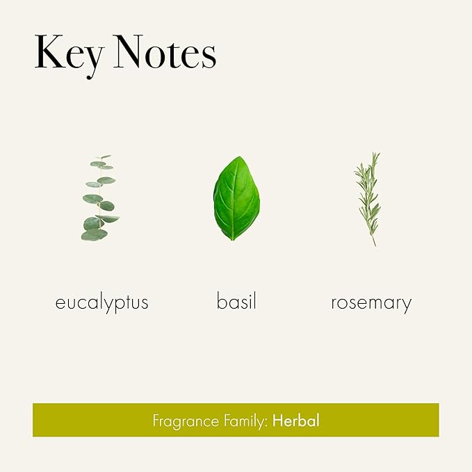 LAFCO New York Pura Smart Device Refill, Rosemary Eucalyptus - Pack of 2 - Each Vial Delivers Up to 2 Weeks of Fragrance Life - Made in the USA