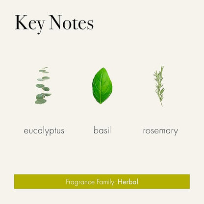 LAFCO New York Pura Smart Device Refill, Rosemary Eucalyptus - Pack of 2 - Each Vial Delivers Up to 2 Weeks of Fragrance Life - Made in the USA