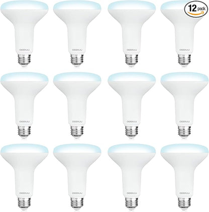 DEGNJU 12 Pack BR30 LED Recessed Light Bulb, Dimmable Indoor Flood Light Bulbs CRI80 7W Equivalent 65W 5000K Daylight 650 Lumens, 15000 Lifetime Hours E26 Base LED Can Light Bulb, Flicker-Free
