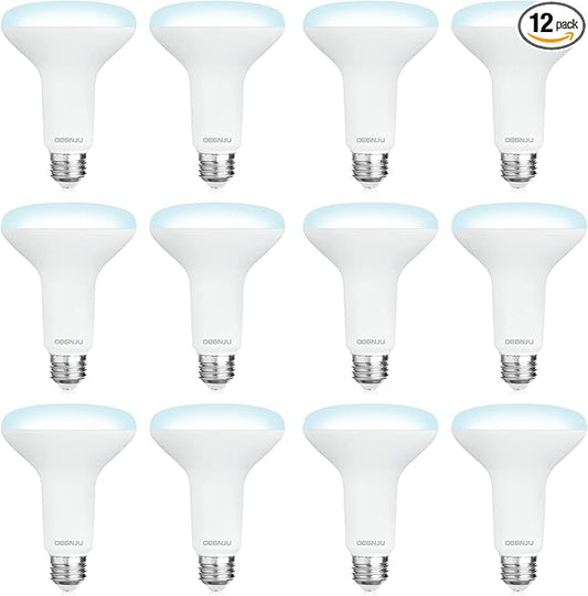 DEGNJU 12 Pack BR30 LED Recessed Light Bulb, Dimmable Indoor Flood Light Bulbs CRI80 7W Equivalent 65W 5000K Daylight 650 Lumens, 15000 Lifetime Hours E26 Base LED Can Light Bulb, Flicker-Free