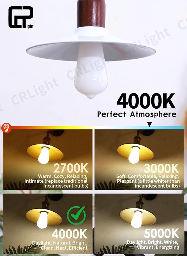 Dimmable Opal LED Edison Bulbs - 6W (65W Eqv) 650LM 4000K Neutral White, ST58 = ST19 E26 Base, Coated Inside White Milky Glass Vintage Filament Light, 10 Pack