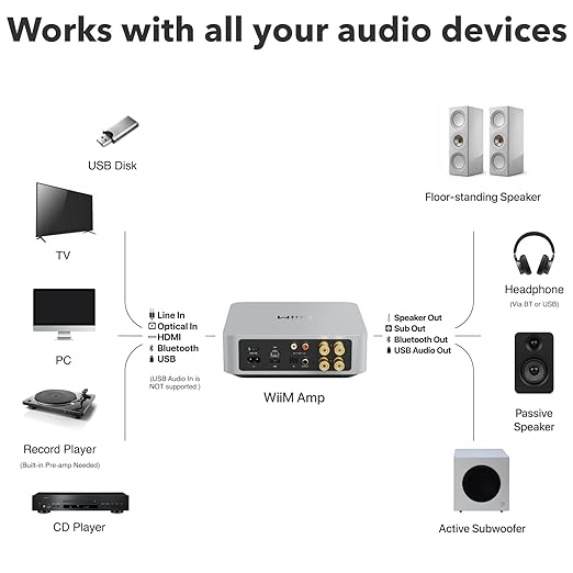 WiiM Amp: Multiroom Streaming Amplifier | Compatible with AirPlay, Google Cast, Alexa | HDMI, Voice Control | Stream from Spotify, Amazon Music, Tidal & More | Silver
