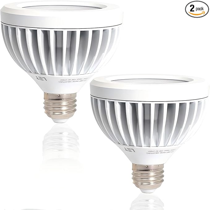 2 Pack PAR30 Outdoor Flood Light Bulb 75 Watt Equivalent, Aluminum Waterproof Short Neck LED Bulb Dimmable, E26 Base 3000K Warm White 13W, 40° Beam Angle, UL