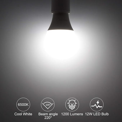 ORALUCE 丨 Bundle - A19 Lightbulbs Cool White 6500K (Pack of 6) & Smart LED Bulb A19 Wi-Fi and Bluetooth (Pack of 4)