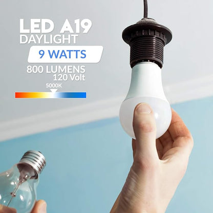 KOR 6 Pack A19 LED Light Bulb, 60W Equivalent, 5000K Bright White, 800 Lumens, Efficient 9 Watt Replacement Bulbs with E26 Standard Base, 15000 Long Life Hours, Non-Dimmable, 80+ CRI, UL Listed
