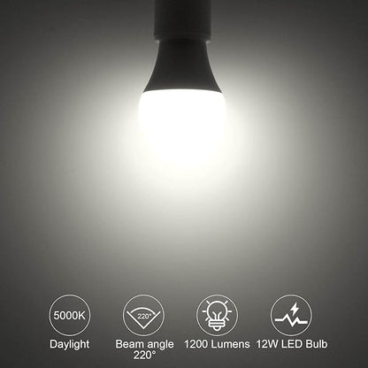 ORALUCE 丨 Bundle - A19 Lightbulbs Daylight White 5000K (Pack of 6) & Smart LED Bulb A19 Wi-Fi and Bluetooth (Pack of 4)