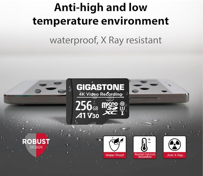 GIGASTONE 256GB Micro SD Card A1 V30 2-Pack, Full HD Video, Surveillance Security Cam Action Camera Drone, 100MB/s Micro SDHC Class 10