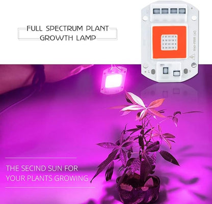 Home Bulbs LED Grow Lights Full Spectrum 20W 30W 50W 110V 220V Smart IC High Power COB LED Phyto Chip Red & Blue Light Updated Version Household Lamp (Color : 110V, Wattage : 20W)