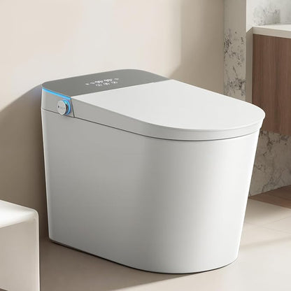 Smart Toilet with Bidet Built-in: Super Gentle Wash Bidet Toilet with Dryer