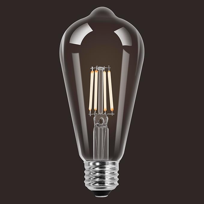 Sylvania ST19 Clear LED White Filament Bulb, 13W, Dimmable, 1500 LMS, Medium Base, 5000K, Daylight - 2 Pack (42251)