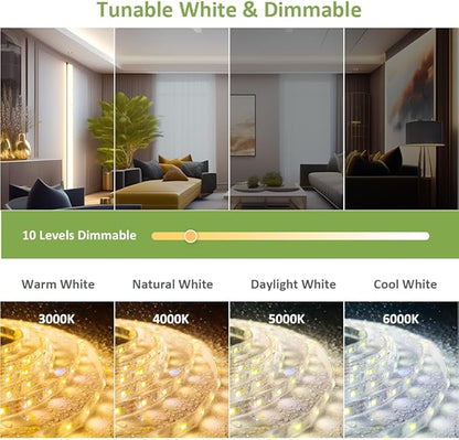 NOVOSTELLA 40ft Waterproof Tunable White LED Strip Lights, Dimmable Flexible Rope Light 3000K-6500K 12V Tape Light with Remote, Ribbon for Outdoor and Indoor Bedroom Home Mirror Kitchen Cabinet