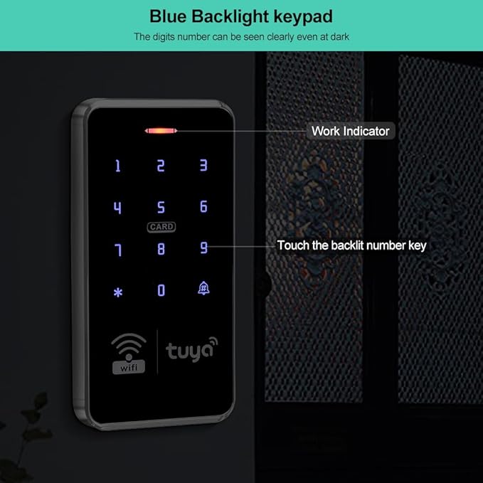 Waterproof Access Control Keypad Home Security System Tuya Smart Remote Unlock Including 10Pcs Key Rings (Silver)