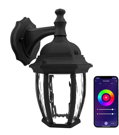 Maxxima Luvoni WiFi LED Outdoor Wall Light, 850 Lumens, CCT 2700K-6500K | Smart, Black w/ Clear Water Glass, App Controlled Porch Lantern, Dimmable, Works with Google Home/Alexa, by Maxxima