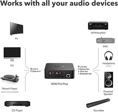 WiiM Pro Plus Music Streamer for Stereo Systems, Modernize Your Hi-Fi
