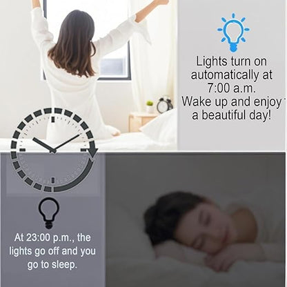 WiFi Smart Switch, Ewelink Smart Relay Module, Compatible with Alexa Google Home, USB 5v/12v/24v/48v Inching Selflock Remote ON Off(2 Pack)