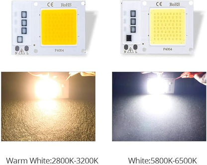 Fengyan Home Bulbs 2pcs/lot COB LED Spotlight 10W 20W 30W 110V 220V High Power LED Matrix Smart IC Bulb Floodlight Downlight Searchlight Source Household Lamp