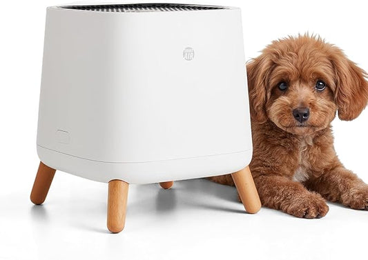 Smart Air(AKA Smart Health) Sqair Air Purifier|H13 HEPA &Activated Carbon|Cleans up to 900 sq ft/30 mins,23-52 dB|For Home, Bedroom, Office, Kitchen|Reduces Allergies, Smoke, Dust, Pet Odors|SA120-3-4
