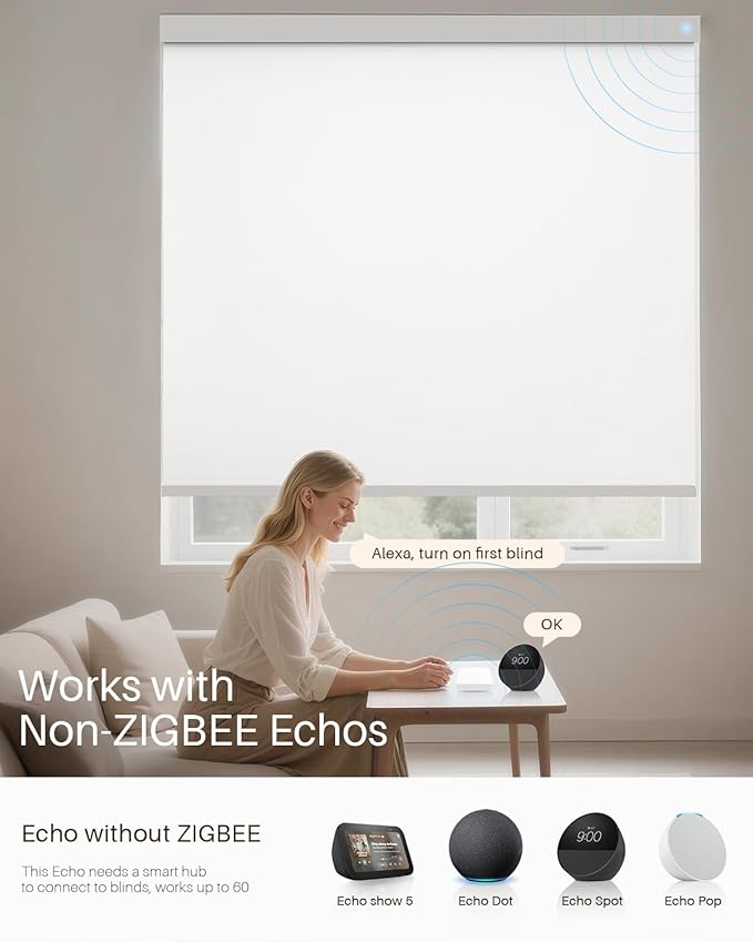 Smart Hub for Alexa Motorized Blackout Blinds, Smart Gateway for JaeJaes Automatic Blinds