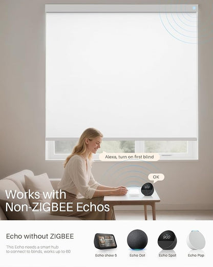 Smart Hub for Alexa Motorized Blackout Blinds, Smart Gateway for JaeJaes Automatic Blinds