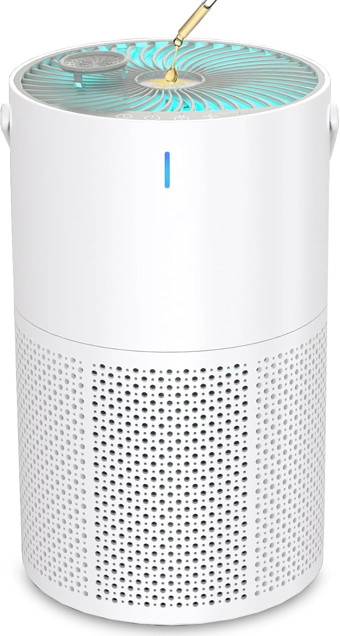 Air Purifiers for Bedroom Office, H13 True HEPA Filter Air Purifiers for Home Pets, Smoke, Odor, Dust with Quiet Sleep Mode & Timer -1 Pack