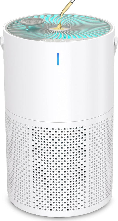 Air Purifiers for Bedroom Office, H13 True HEPA Filter Air Purifiers for Home Pets, Smoke, Odor, Dust with Quiet Sleep Mode & Timer -1 Pack