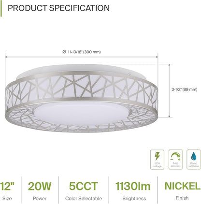 ASD 12 Inch LED Flush Mount Ceiling Light - Brushed Nickel Modern Ceiling Light Fixture 20W 1113LM, 2700-5000K Adjustable Small Ceiling Lights for Kitchen, Bedroom, Hallway, Closet, ETL
