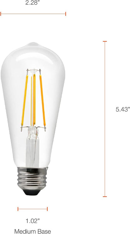 Sylvania WiFi LED Smart ST19 Light Bulb, 5W Efficient with Filament, for Alexa/Google Assistant, Energy Star, Clear, 2700K, Soft White - 1 Pack (75799)