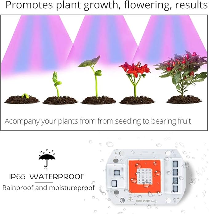 Home Bulbs LED Grow Lamps 20W 30W 50W Full Spectrum COB LED Chip Phyto Lamp Smart IC High Power Red + Blue Light LED Diode Plant Lights Household Lamp (Color : 110V, Wattage : 20W)