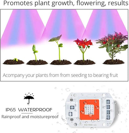 Home Bulbs LED Grow Lamps 20W 30W 50W Full Spectrum COB LED Chip Phyto Lamp Smart IC High Power Red + Blue Light LED Diode Plant Lights Household Lamp (Color : 110V, Wattage : 20W)